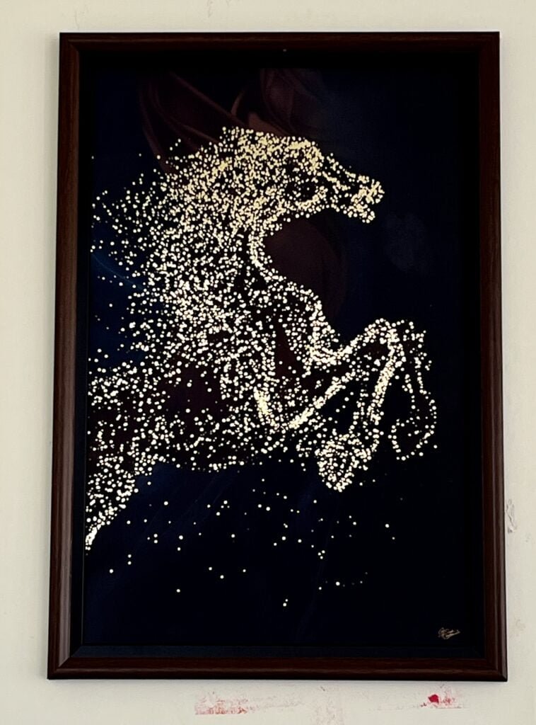 Luxurious Farmhouse with Pool and Mango Farm – Perfect for Parties and Family Fun