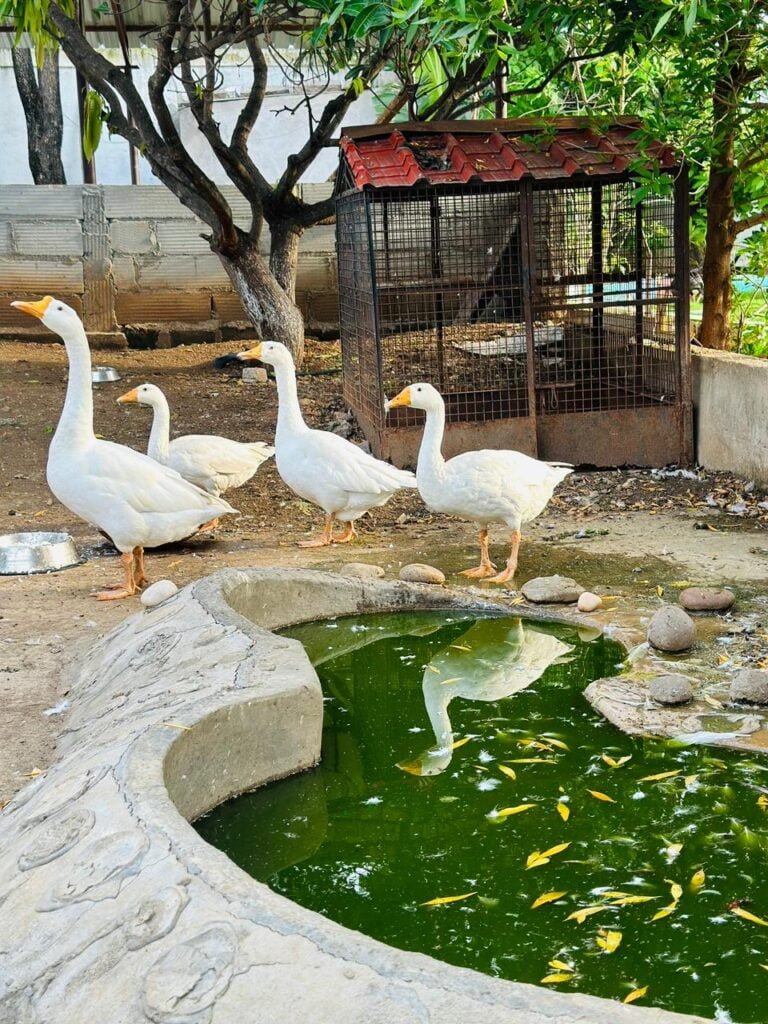 Serene Getaway Near Moinabad: Perfect for Exclusive Gatherings