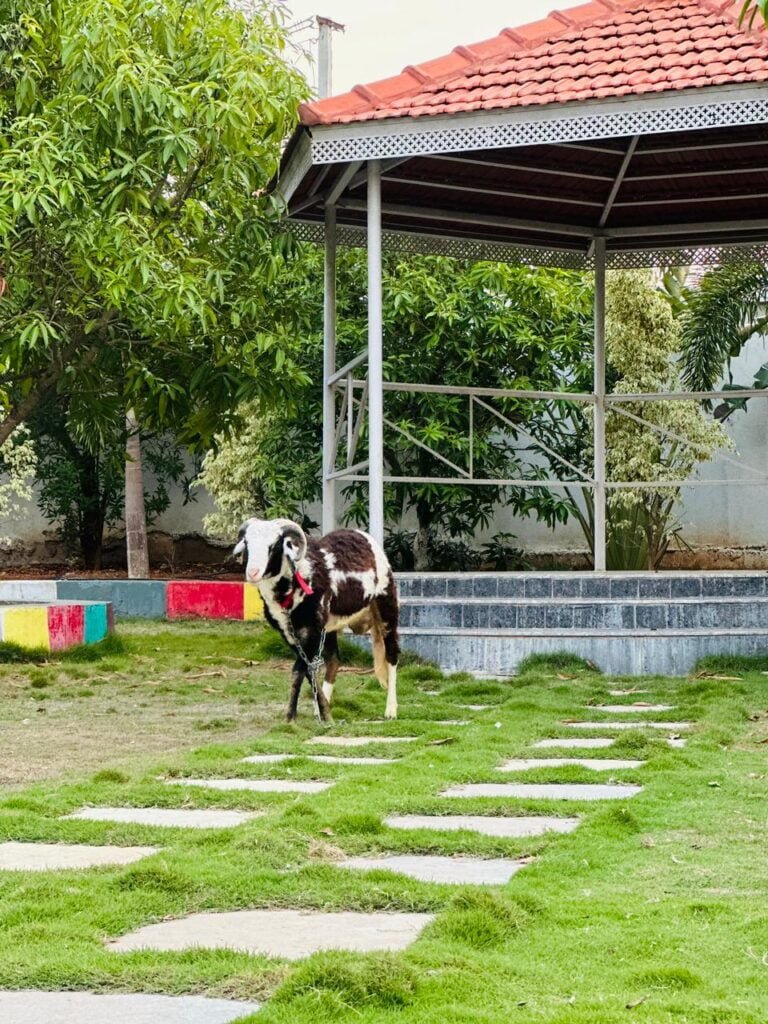 Serene Getaway Near Moinabad: Perfect for Exclusive Gatherings