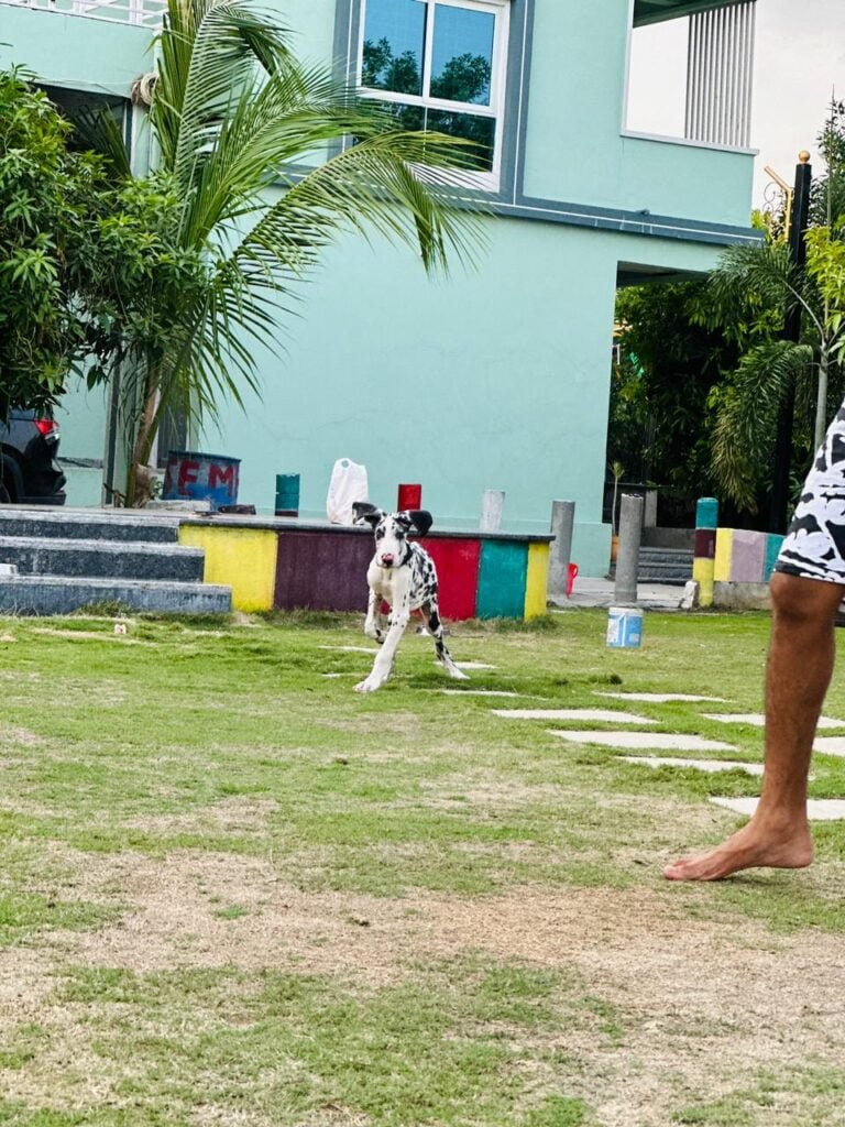 Serene Getaway Near Moinabad: Perfect for Exclusive Gatherings