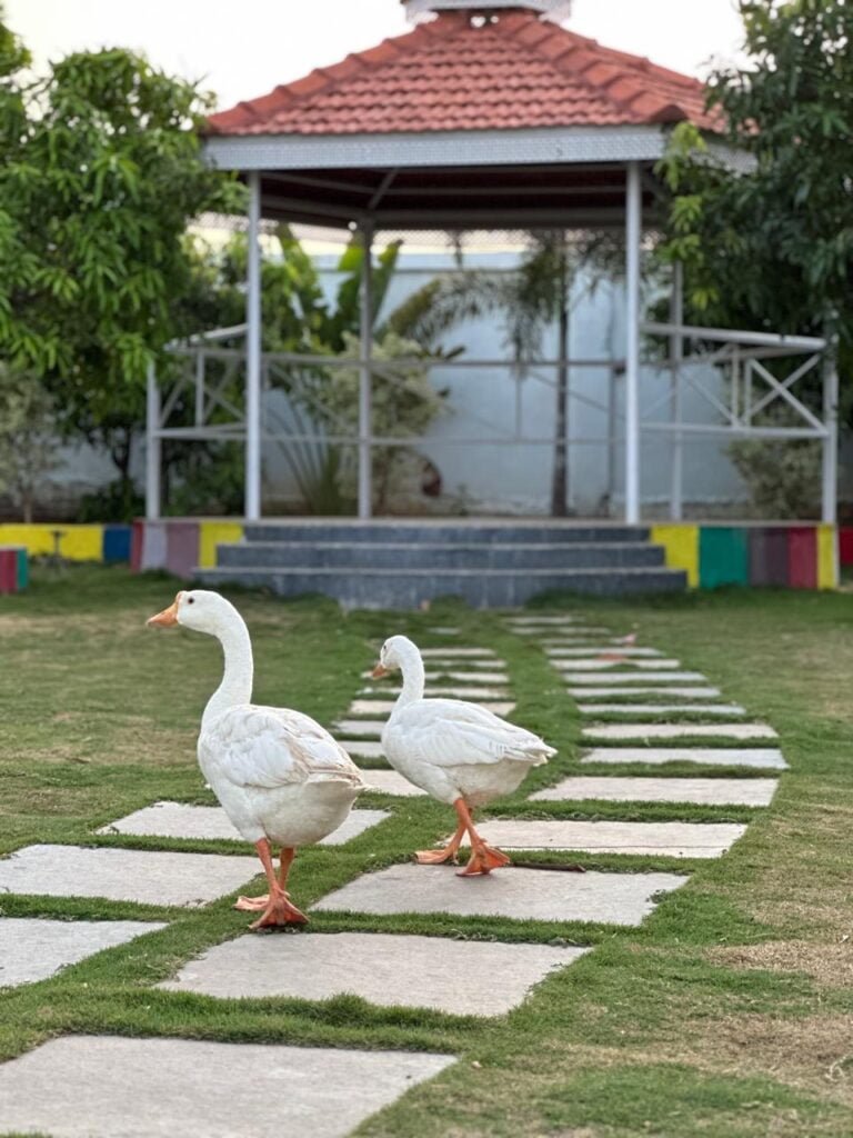 Serene Getaway Near Moinabad: Perfect for Exclusive Gatherings