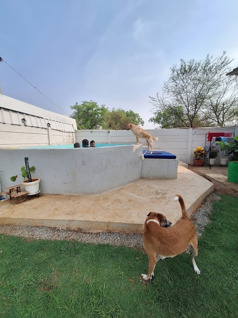 A woodland cabin featuring a splash pool